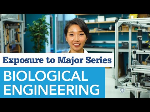Biological Engineering Salary and Job Description