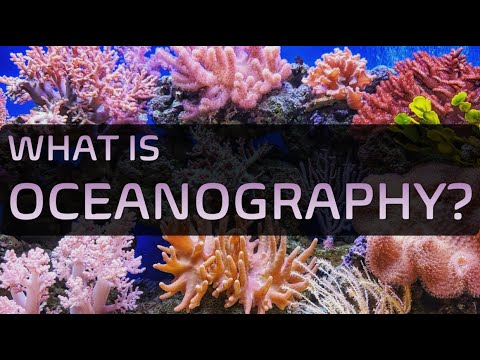Explore the Depths: Oceanographer Job Description and Salary