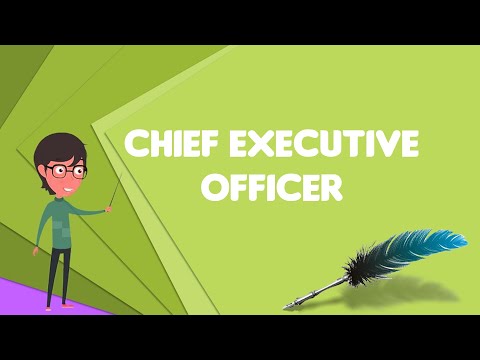 Chief Executive Officer (Ceo) Salary and Job Description