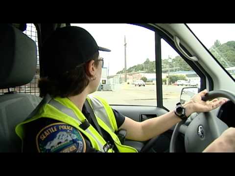 High-Paying Parking Enforcement Officer Job: Description & Salary