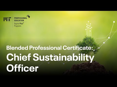 Chief Sustainability Officer (Cso) Salary and Job Description