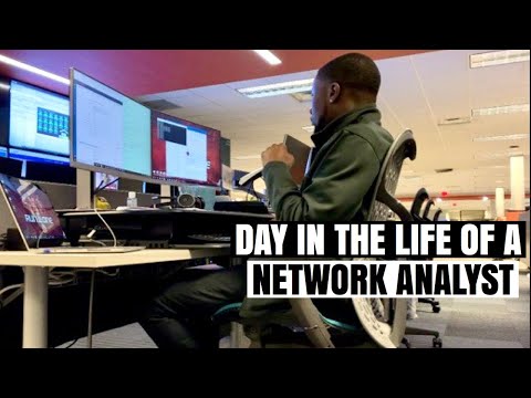 Network Analyst Salary and Job Description